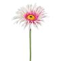Künstliche Blume Gerbera FELISY, rosa-weiß, 65cm