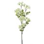 Dekoblume Apfelblütenzweig WENIA, creme, 70cm, Ø2-4cm