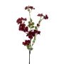 Dekoblume Apfelblütenzweig WENIA, dunkelrot, 70cm, Ø2-4cm