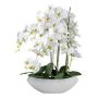Kunstblume Phalaenopsis Orchidee XELAV, Keramikschale, weiß, 65cm