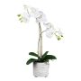 Kunst Phalaenopsis Orchidee GROTVER, Keramiktopf, Wurzeln, weiß, 50cm