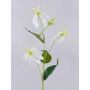Kunstblume Gloriosa MAFIRNA, weiß-grün, 80cm