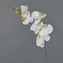 Kunstzweig Phalaenopsis Orchidee LANUA, creme, 70cm, Ø8,5-12cm