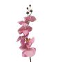 Kunstzweig Phalaenopsis Orchidee LANUA, rosa, 70cm, Ø8,5-12cm