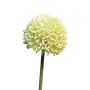 Kunstblume Allium BAILIN, creme-grün, 45cm, Ø6,5cm
