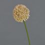Kunstblume Allium BAILIN, rosa-creme, 45cm, Ø6,5cm