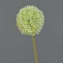 Kunstblume Allium BAILIN, creme-grün, 65cm, Ø10cm