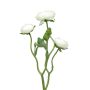 Dekoblumen Zweig Ranunkel JIXIANG, weiß, 50cm