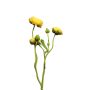 Dekoblumen Zweig Ranunkel JIXIANG, gelb, 50cm