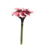 Kunststoff Calla Bund YONGHENG, mauve-creme, 45cm