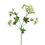 Plastik Zweig Euphorbia marginata MENGWEN, Blüten, creme-grün, 65cm