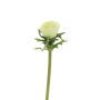 Dekoblume Anemone BOYANG, hellgrün, 35cm, Ø6cm