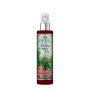Scentsicles® Duftspray, Wintertanne