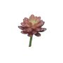Kunst Sedum rubrotinctum AOLUO auf Steckstab, burgunderrot, 16cm