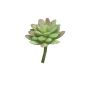 Kunst Sedum rubrotinctum AOLUO auf Steckstab, grün-rot, 16cm