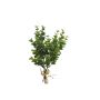 Plastik Eukalyptus Bund YANCHEN, grün, 25cm