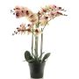 Kunstorchidee Phalaenopsis CHENXU, rosa-creme, 60cm