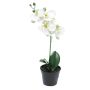 Kunstorchidee Phalaenopsis CHENXU, weiß, 35cm