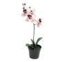 Kunstorchidee Phalaenopsis CHENXU, rosa-creme, 35cm