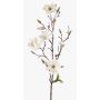 Künstliche Magnolie LILO, creme, 75cm, Ø5-9cm
