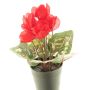 Künstliche Blume Alpenveilchen XIAOGUO im Dekotopf, rot, 25cm