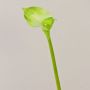 Kunst Calla MARIOLA, grün, 80cm, 8x15cm