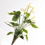 Textilblume Anthurium LORIE zum Stecken, creme, 55cm, 6x8cm