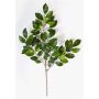 Kunst Ficus Benjamini Zweig AJITH, grün, 45cm