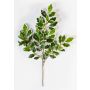 Kunst Ficus Benjamini Zweig AJITH, grün-weiß, 45cm