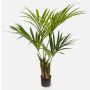 Kunst Kentia Palme OMAYRA, 110cm
