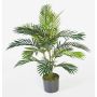 Dekopalme Areca JENNICA, 90cm