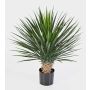 Kunst Yucca Rostrata RAFFAELA, buschig, 80cm