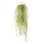 Deko Tillandsia Usneoides IRMENA, Stecker, grün-gelb, 80cm