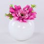 Samt Gerbera IMINA im Keramiktopf, rosa-lila, 12cm, Ø15cm
