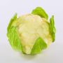 Deko Blumenkohl SINEO, weiß-grün, 10,5cm, Ø18cm