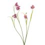 Kunst Zweig Schachbrettblume PITARA, pink-weiß, 50cm