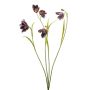 Kunst Zweig Schachbrettblume PITARA, dunkelviolett-rosa, 50cm