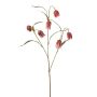 Dekoblume Schachbrettblume TIMANO, rot-rosa, 60cm
