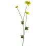 Deko Blume Chrysantheme YUNJUAN, gelb, 60cm