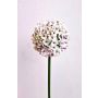 Kunstblume Allium LOKJAN, weiß-violett, 70cm