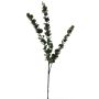Kunst Zweig Eukalyptus XIJIAN, grün, 75cm