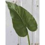 Künstliches Zantedeschia Blatt YELLA, grün, 85cm