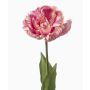 Papageienblume künstlich LIOMARA, helllila, 65cm, Ø9cm