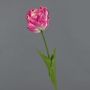 Papageienblume künstlich LIOMARA, pink-weiß, 65cm, Ø9cm