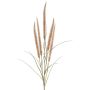 Deko Federborstengras AREVALO mit Rispen, beige, 135cm