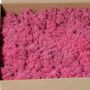 Isländisches Naturmoos SVEINBJÖRN, pink, 2,7kg