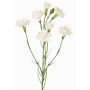 Dekozweig Nelke PIARA, weiß, 60cm, Ø3-5cm