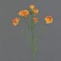 Dekozweig Nelke PIARA, orange-gelb, 60cm, Ø3-5cm