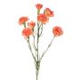 Dekozweig Nelke PIARA, lachs, 60cm, Ø3-5cm
