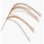Deko Zweig Federgras Rispen LUMINIA, beige, 135cm